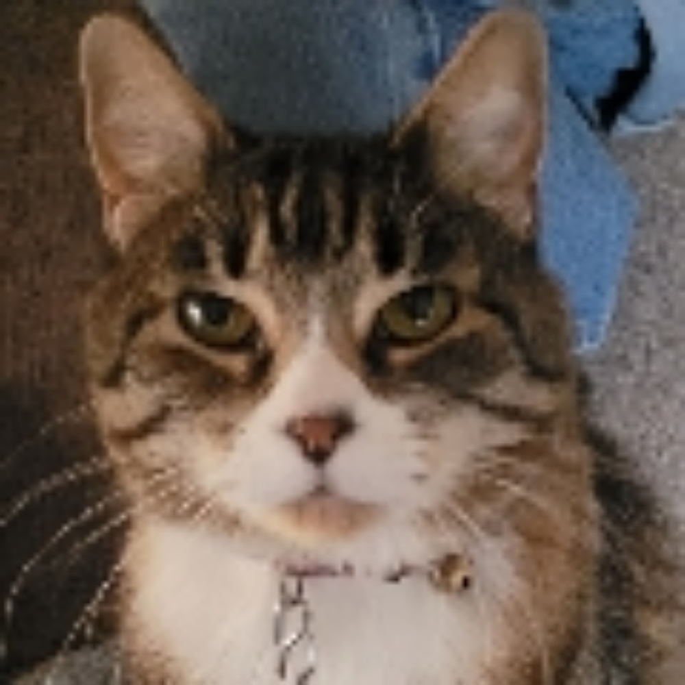 Meet your Posher, Michelle